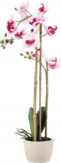 Altura ideal de 70 cm