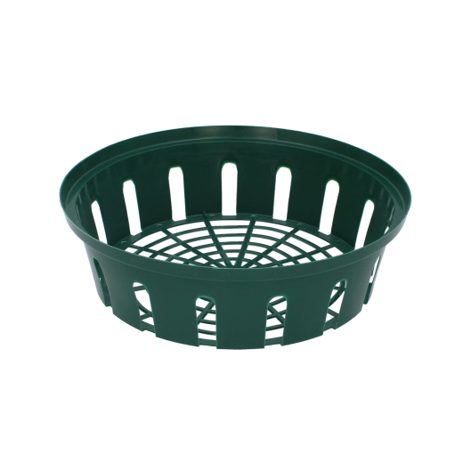 Cesta para bulbos 26 × 6 cm