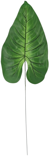 Set de ramas artificiales con hojas de alocasia – 12 uds.