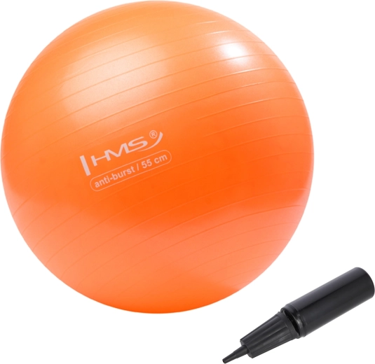 Balón de gimnasia HMS 55 cm naranja