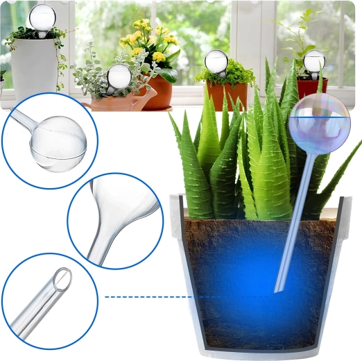 Prácticas para varias plantas