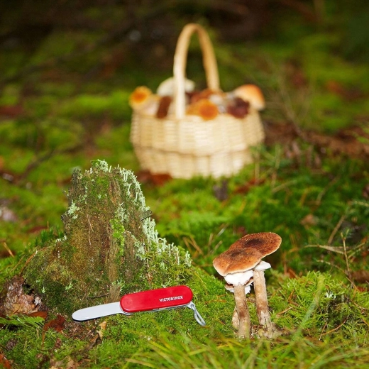 Diseño con licencia VICTORINOX