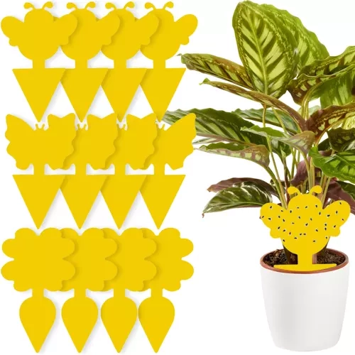 Trampas adhesivas amarillas para insectos 12 uds