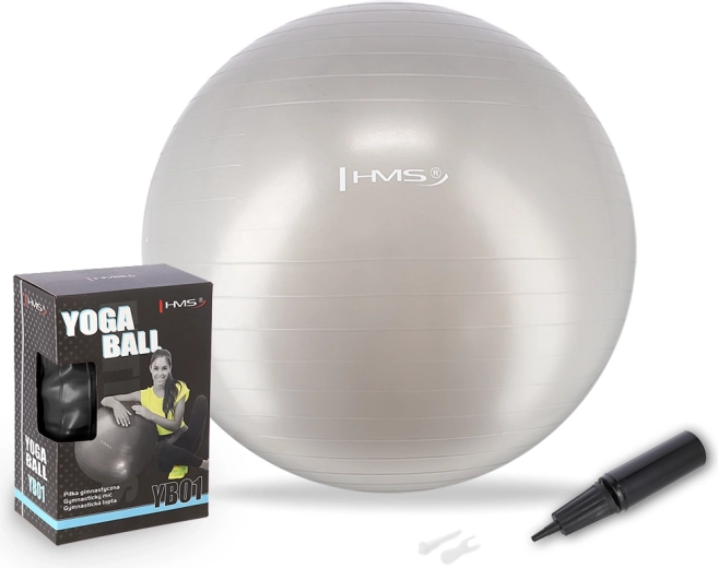Balón de gimnasia 65 cm gris HMS