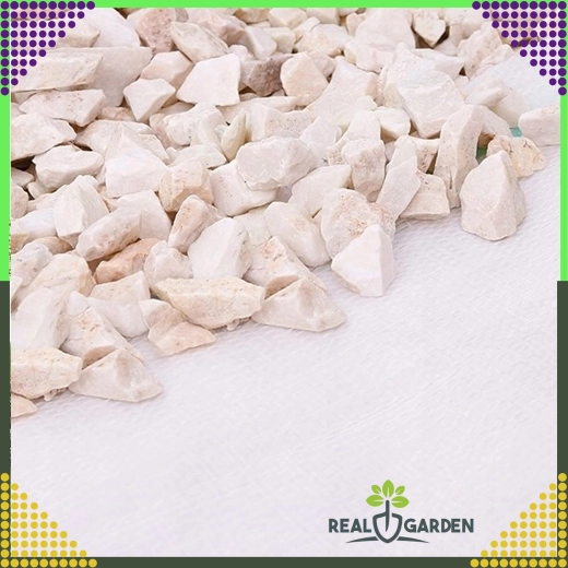 Agrotextil blanco 70 g/m² 1,6 × 100 m contra malas hierbas + anclajes UV