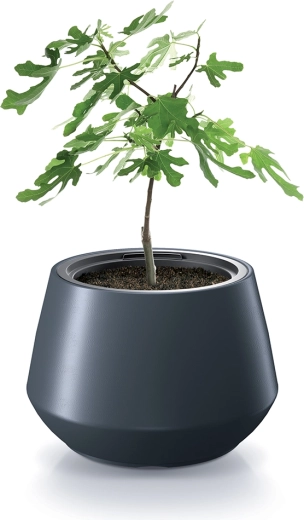 Solución compacta para plantas pequeñas y en crecimiento
