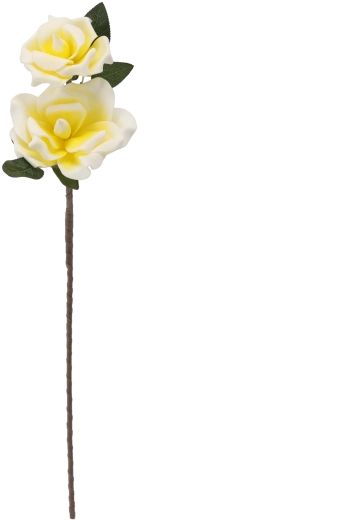 Dos flores en un solo tallo para una impresión más abundante