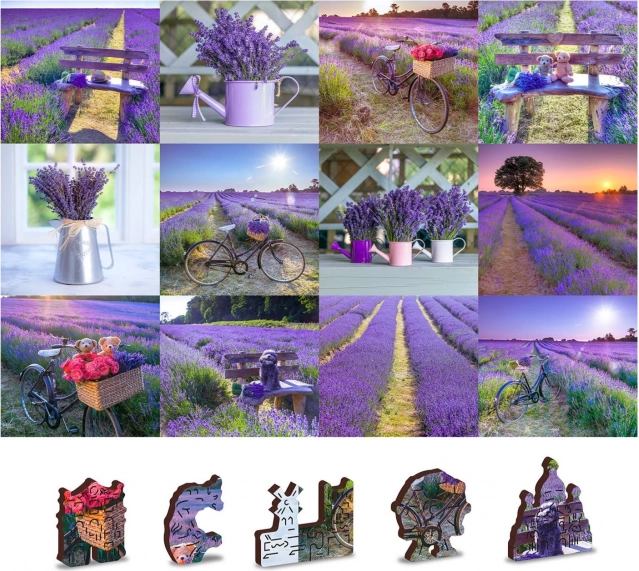 Diseño de la Francia de lavanda