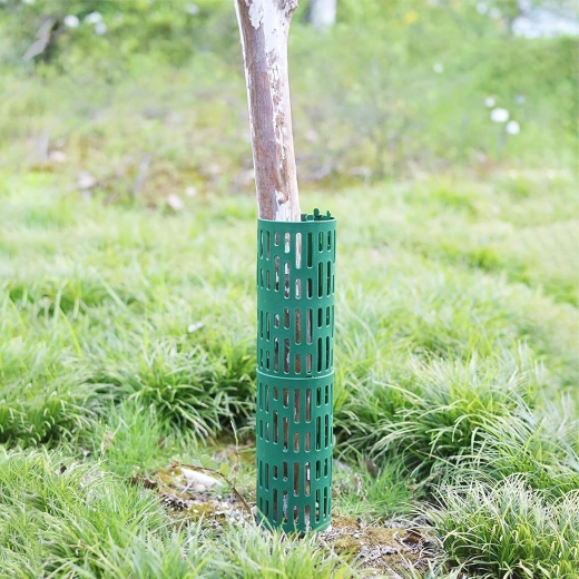 Protección del tronco de árboles jóvenes