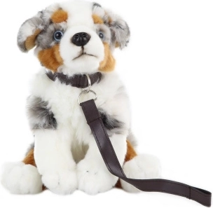 Perro pastor australiano de peluche con correa