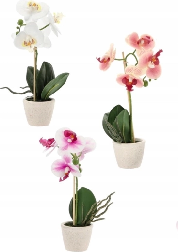 Mix de tres colores elegantes