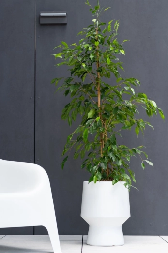 Diseño minimalista para interiores