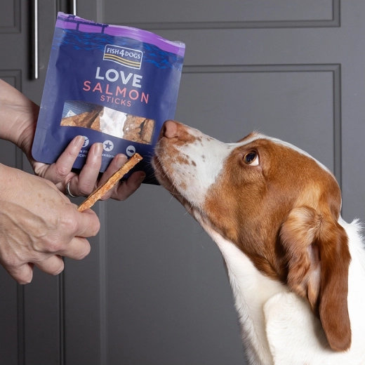 Sin cereales para perros sensibles