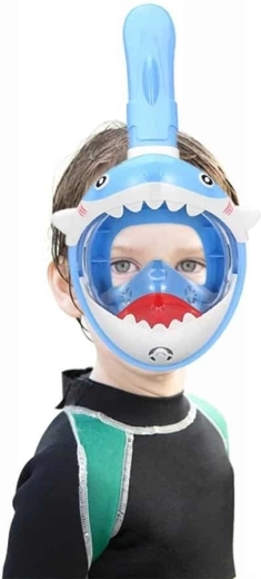 Snorkel más seguro con DryTop