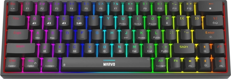 Interruptores hot-swap y retroiluminación RGB