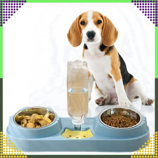 Base estable y práctica