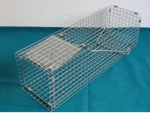 Jaula de captura de acero galvanizado 140 × 140 × 480 mm
