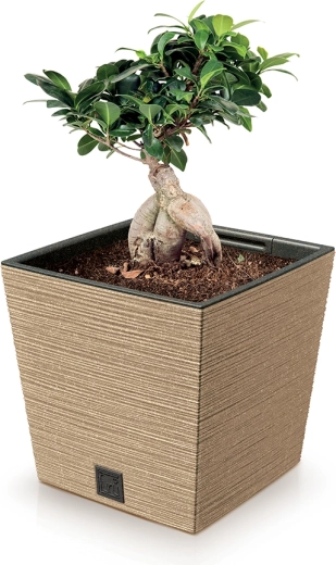 Material ECO ligero pero resistente