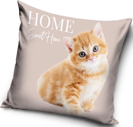 Funda de almohada gatita 40 × 40 cm