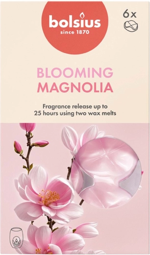 Ceras aromáticas de magnolia, set de 6 unidades