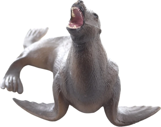 Excelente para aprender sobre animales marinos