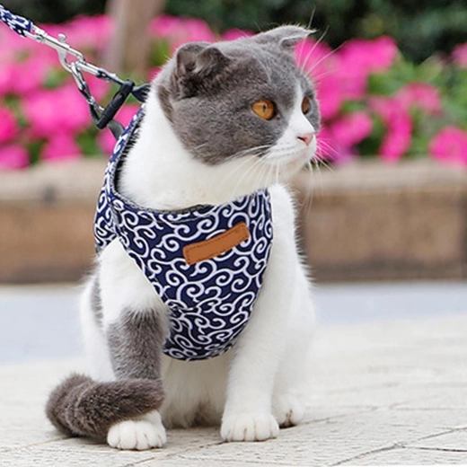 Arnés cómodo para gatos y perros – Azul S
