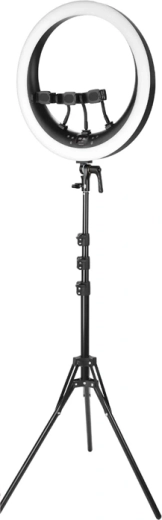 Luz LED circular NEEWER RP19H de 19 pulgadas con trípode y soportes para teléfono