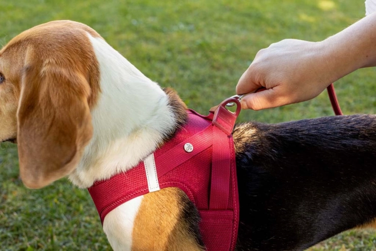 Corte ergonómico sin presión en el cuello + seguridad reflectante