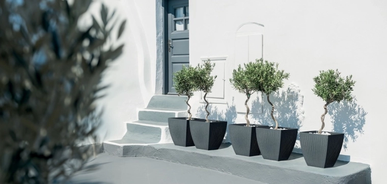 Ideal para decoración exterior en la entrada