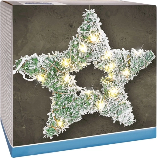 Estrella luminosa con LED, 58 cm, pino nevado