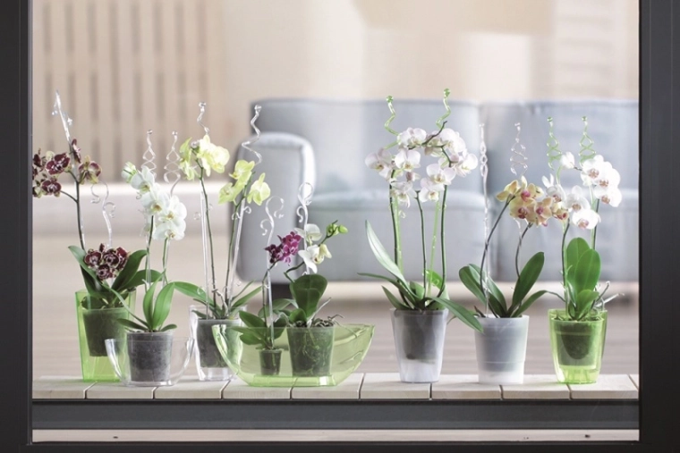Soporte elegante y discreto para flores