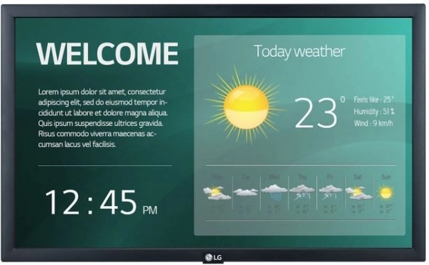 Monitor profesional LG 22" 22SM3G