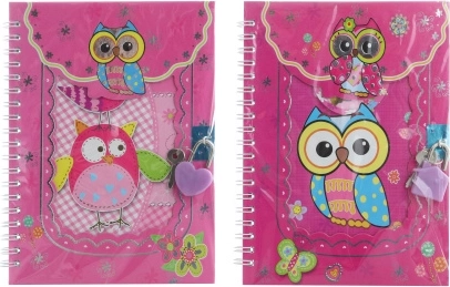 Cuaderno con candado y llaves con búhos 13 × 18 cm
