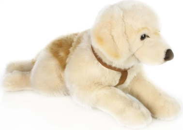 Golden retriever de peluche 70 cm