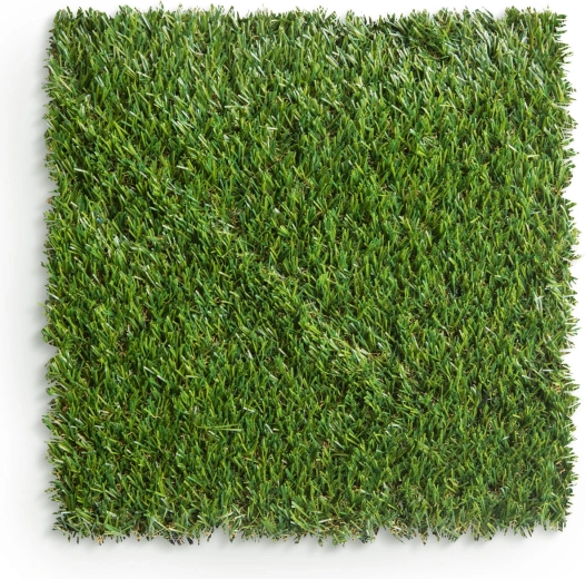 Aspecto natural de un césped verde