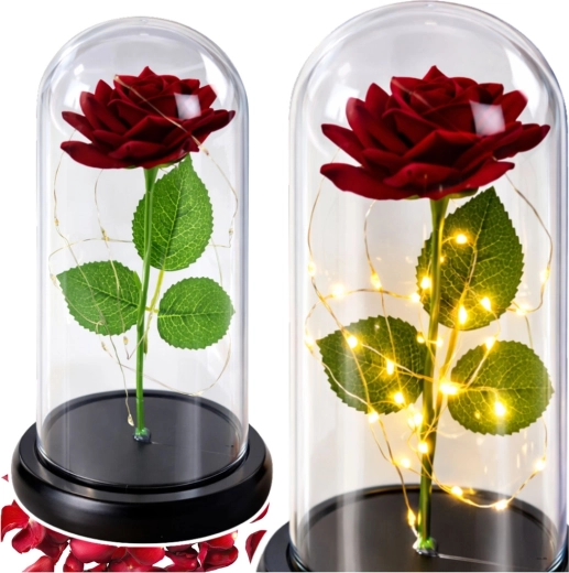 Rosa romántica bajo una cúpula protectora