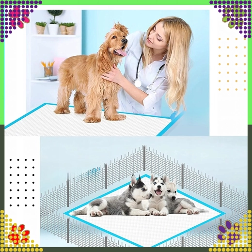 Limpieza en casa y de viaje