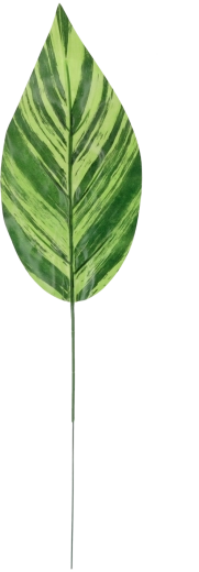 Juego de 12 ramitas verdes artificiales 48 × 12 cm