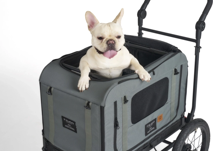 Transportín resistente y seguro para la tranquilidad del perro