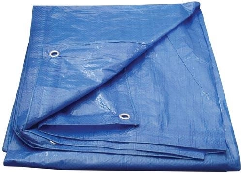 Lona de cobertura con ojales 8 × 12 m, azul, Economy