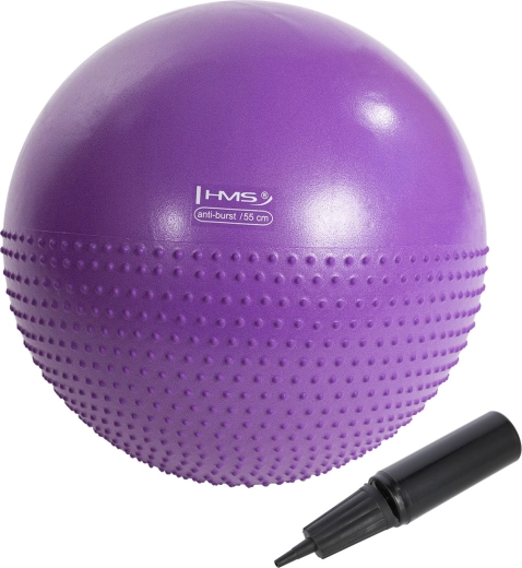 Balón gimnástico de masaje HMS YB03N 55 cm morado