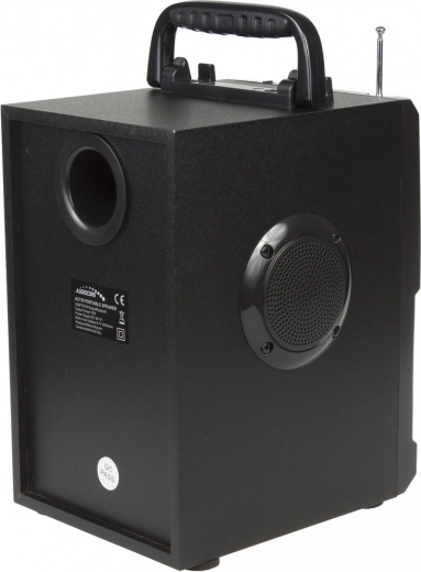 Amplias opciones de conexión y radio FM