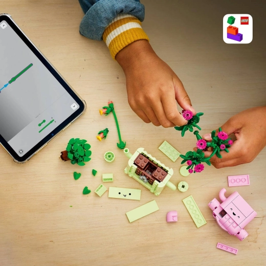 Construcción creativa a partir de 9 años