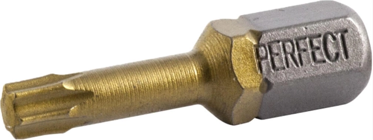Punta bit TORX T15 25 mm, 2 uds STALCO TITAN