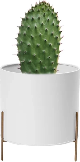 Cubremaceta metálico blanco con base dorada 17 cm