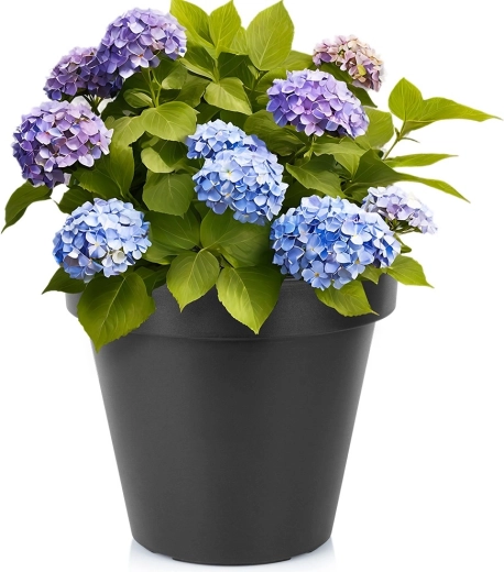 Maceta de plástico redonda negra para jardín 39 cm