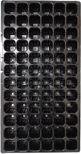 Bandeja de siembra de 72 alvéolos para pre-cultivo