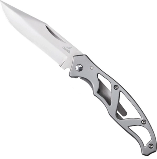 Gerber Paraframe Mini cuchillo de bolsillo 5,6 cm de acero inoxidable