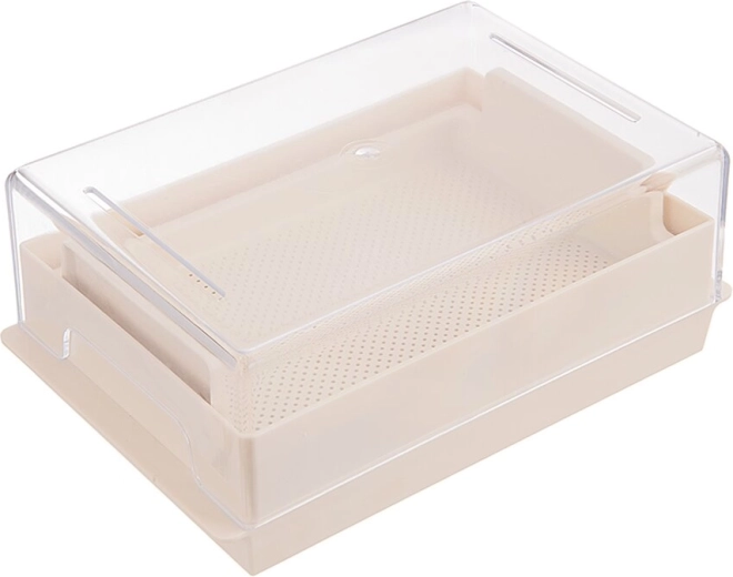Cuenco de plástico para germinación con tapa 21 × 13,5 cm