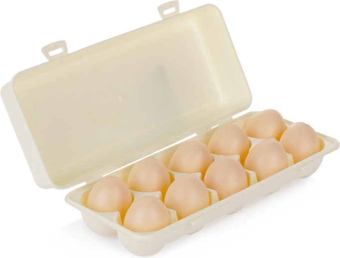 Caja de plástico Orion para 10 huevos